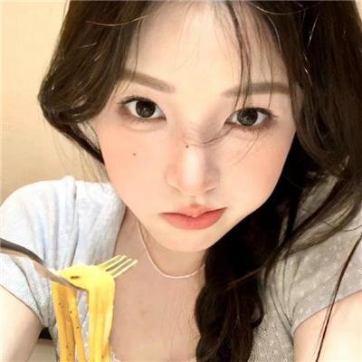没人瞭波斯猫